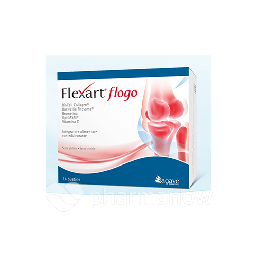 FLEXART FLOGO 14BUST