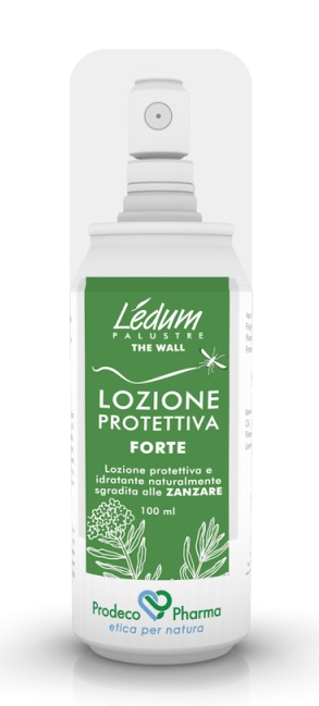 LEDUM THE WALL LOZ PROT FT - OUTLET