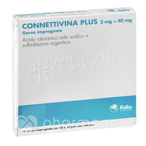 CONNETTIVINA PLUS*10GARZE10x10