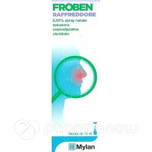 FROBEN RAFFREDDORE*15ML 0,05%