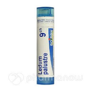 LEDUM PALUSTRE 9CH GR