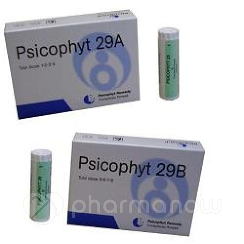 PSICOPHYT REMEDY 29B 4TUB 1,2G