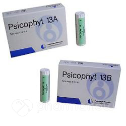 PSICOPHYT REMEDY 13A 4TUB 1,2G