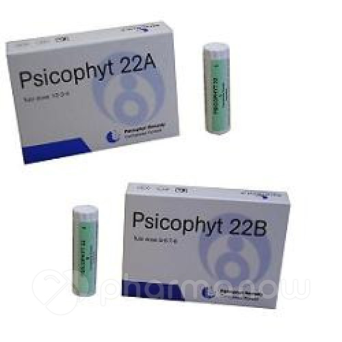 PSICOPHYT REMEDY 22B 4TUB 1,2G