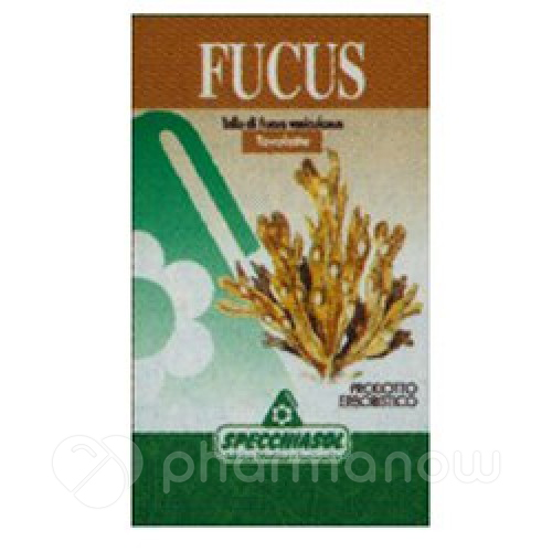 FUCUS ERBE 150TAV