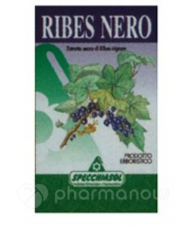 RIBES NE ERBE 75CPS