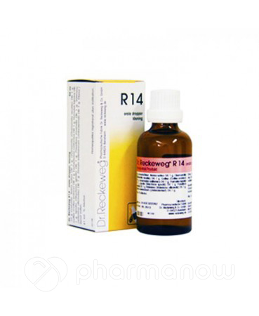 RECKEWEG R14 GOCCE 22ML