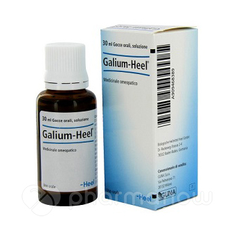 GALIUM 30ML GTT HEEL