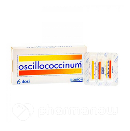 OSCILLOCOCCINUM 200K 6DO