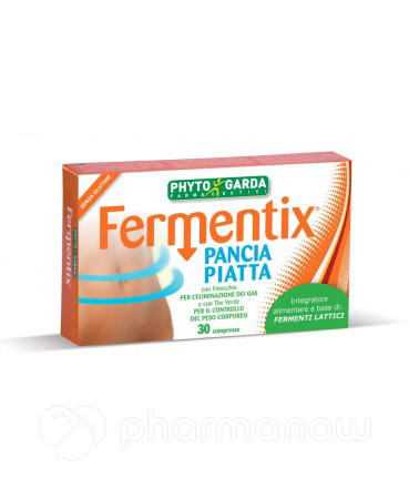 FERMENTIX PANCIA PIA/GONF20CPR