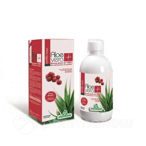 SUCCO ALOEVERA+ ALOE/MIRT R1LT