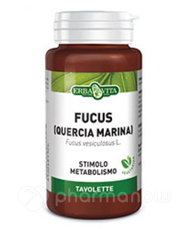 FUCUS 125TAV