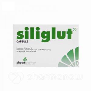 SILIGLUT 200 20BUST