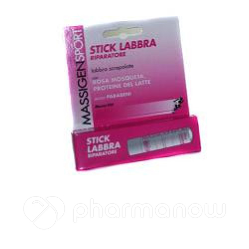 MASSIGENSPORT STICK RIPARATORE