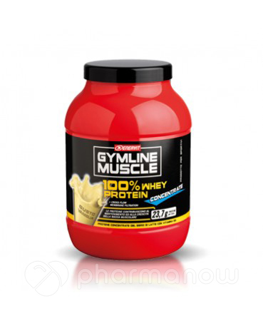 GYMLINE 100% WHEY CONC VAN