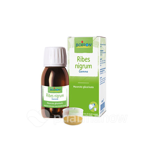 RIBES NIGRUM BOI MG 60ML INT